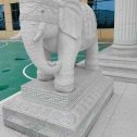 深圳 白麻花岗岩动物异形石雕-大象