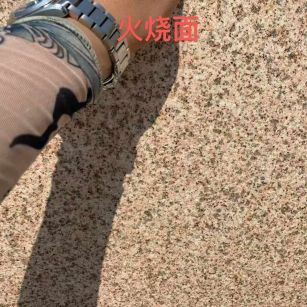 深圳黄金麻火烧面